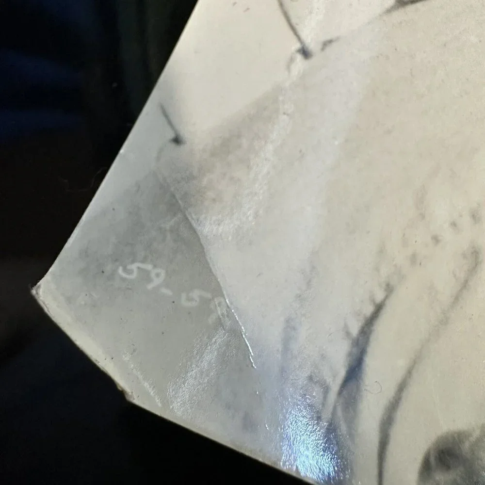 Vintage 1962 State Fair Pat Boone Ann Margret Movie Still Promo B & W Photo - Picture 6 of 12